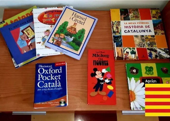 Centro 7pax Жирона